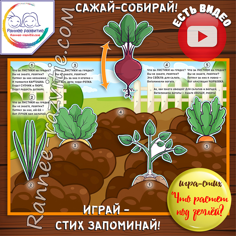 Игра-стих «Какие овощи растут под землей?»